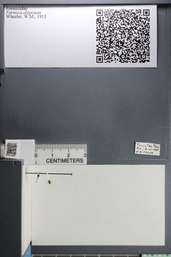 Media type: image;   Entomology 551254